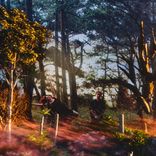 Artwork für "Into The Evening"