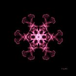 Artwork for "Paixao"