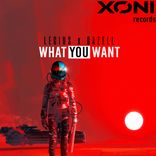 Artwork for "What You Want"