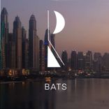 Artwork for "Bats (Original)"