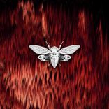 Artwork for "Resonate"