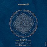 Artwork for "Rabbit Hole"