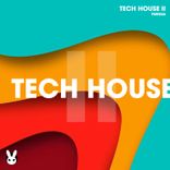 Artwork for "Tech House II"