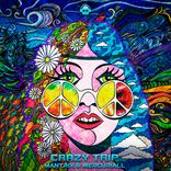 Artwork voor "Crazy Trip"
