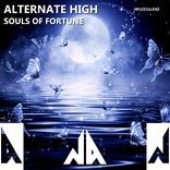 Artwork for "Souls Of Fortune"