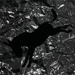 It's Okay If You Don't Want to Say Anything, I'll Just Say Nothing Too