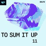 Artwork voor "To Sum It Up 11"