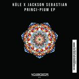 Artwork für "Princi-Pium (Original Mix)"