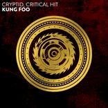 Kung Foo