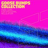 Artwork voor "Goose Bumps Collection, Vol. 4"