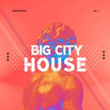Artwork voor "Big City House, Vol. 3"
