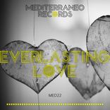 Artwork voor "Everlasting Love"