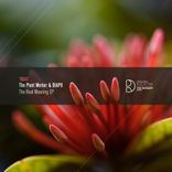 Artwork for "The Real Meaning EP"