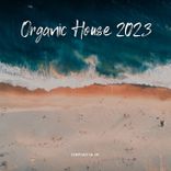 Artwork for "Organic House #02"