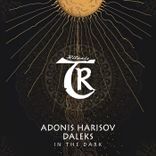 Portada para "In the Dark"