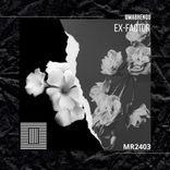 Artwork for "Ex-Factor"