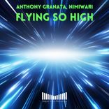 Artwork for "Flying So High"