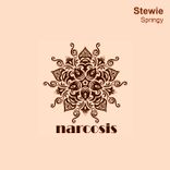 Artwork for "Springy"