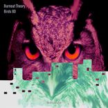 Artwork for "Birds 8D"