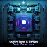 Artwork for "Sonic Endurance"