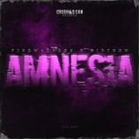 Portada para "Amnesia"