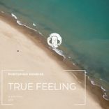 Artwork for "True Feeling"
