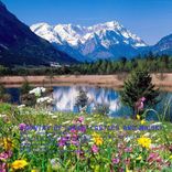 Artwork for "Country of Lakes, Castles & Whisky"