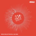 Artwork voor "Redux Selection Vol. 3 / 2022"
