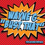 Portada para "Bust That"