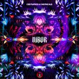 Artwork voor "Costumes & Chemicals"