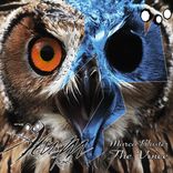 Portada para "The Voice"