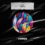 Artwork for "Pakito"