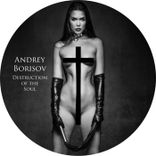 Portada para "Destruction of the Soul"