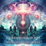 Artwork voor "The Great Awakening"