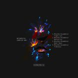 Artwork voor "Methodical Sampler 005"