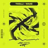 Artwork voor "Wake"