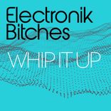 Artwork voor "Whip It Up ( Extended Mix)"