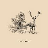 Artwork for "Vanity World"