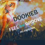 Portada para "Feel The Groove"