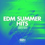 Artwork for "EDM Summer Hits 2019"