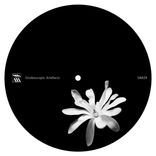 Artwork for "Tehillim"