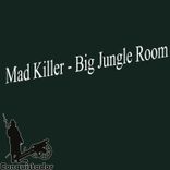 Artwork voor "Big Jungle Room"
