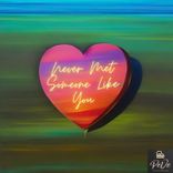 Artwork voor "Never Met Someone Like You"