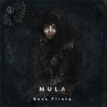 Artwork for "Basa Pirata"