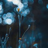 Artwork for "Feeling"