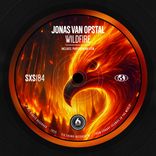 Artwork for "Wildfire"