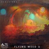 Artwork voor "Flying Weed U"