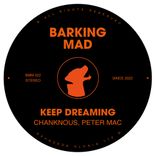 Artwork voor "Keep Dreaming"