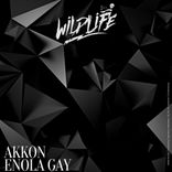 Artwork for "Enola Gay"