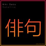 Artwork für "Satellite"